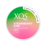XQS Nicotine Pouches
