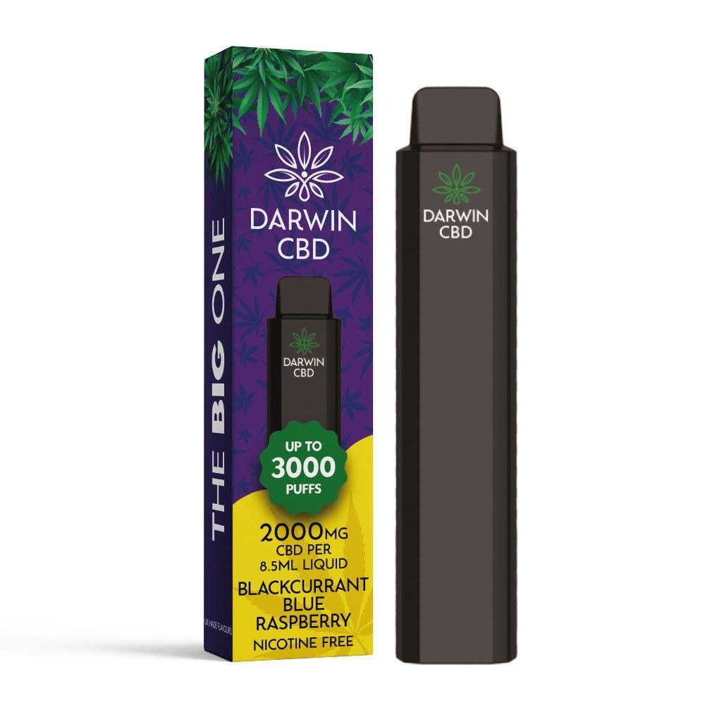 Darwin CBD The Big One Blackcurrant Blue Raspberry 3000 CBD Disposable   Royal Vapes