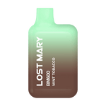 Lost Mary BM600 Mint Tobacco Disposable 20mg