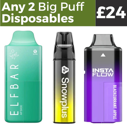 Any 2 Big Puff Disposables for £24 Royal Vapes
