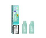 BM600 Prefilled Pods (2 Pack)