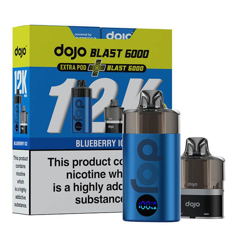 Blueberry Ice 12K 12000 Disposable Vape