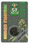 Professor Herb Pineapple Express CBD Hash 2g (16%)