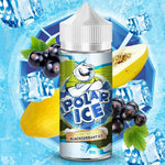 Polar Ice Honeydew & Blackcurrant Ice 100ml